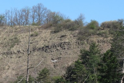 Český kras - Konk - geologická hranice mezi silurem a devonem