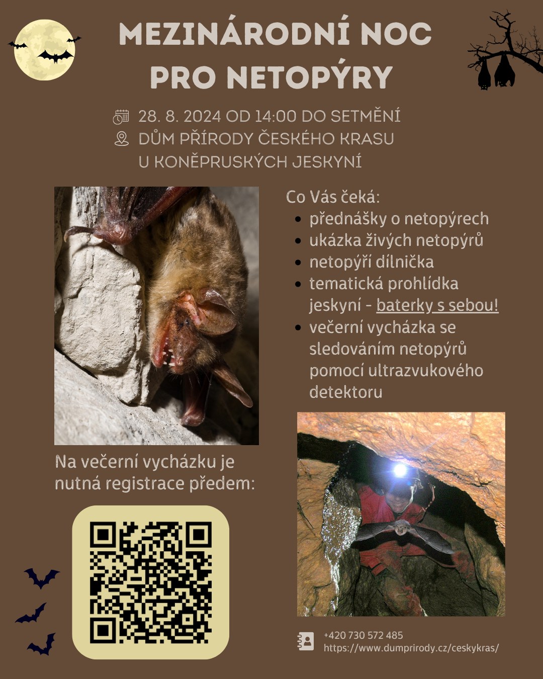 Mezinárodní noci pro netopýry 28. 8. 2024