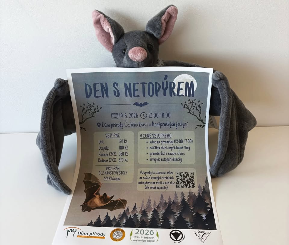 Den s netopýrem