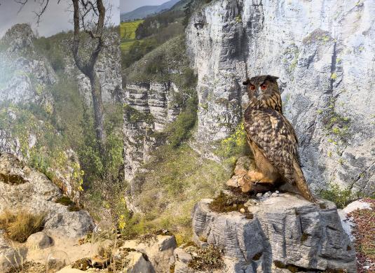 Koněpruské jeskyně - Dům přírody Českého krasu - expozice