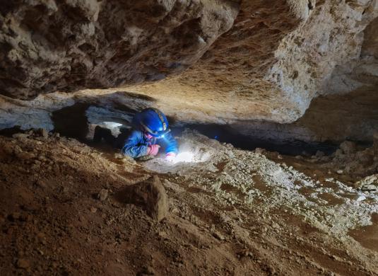 Koněpruské jeskyně - speleoturistika