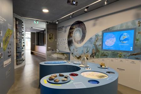 Koněpruské jeskyně - Dům přírody Českého krasu - expozice