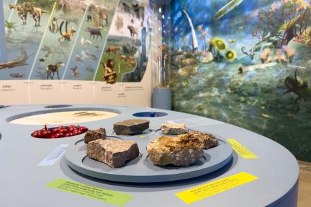 Koněpruské jeskyně - Dům přírody Českého krasu - expozice