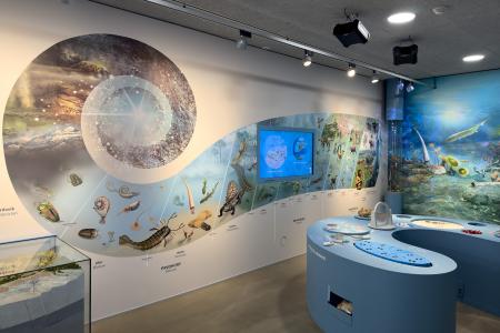 Koněpruské jeskyně - Dům přírody Českého krasu - expozice