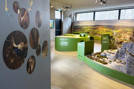 Koněpruské jeskyně - Dům přírody Českého krasu - expozice