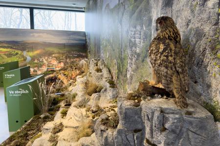 Koněpruské jeskyně - Dům přírody Českého krasu - expozice