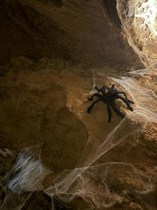 Halloween v Koněpruských jeskyních, 31. 10. a 1. 11. 2025